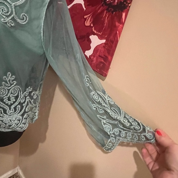 Pretty Angel Boho Mesh Crop Top Silk Blend Sheer Embroidered Long Sleeves, Large - Picture 3 of 8